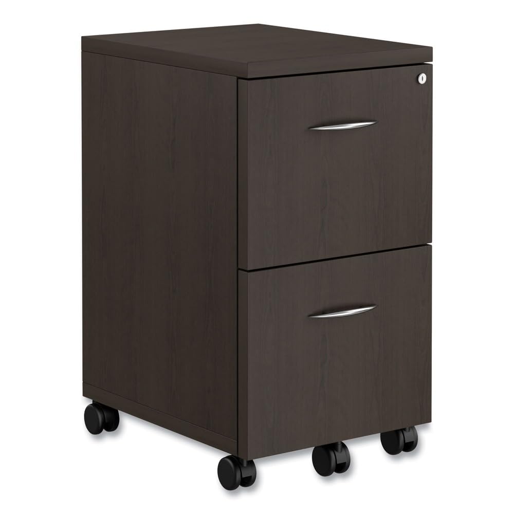 Mobile File Pedestal 2-Drawer  - Drawer Pedestal Cabinet review and price